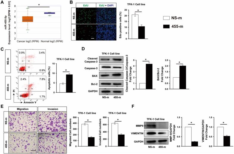 J Cancer Image