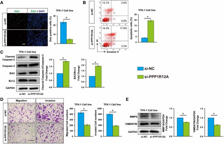 J Cancer Image