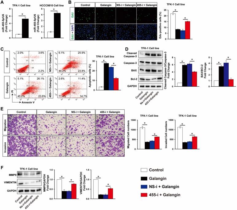 J Cancer Image