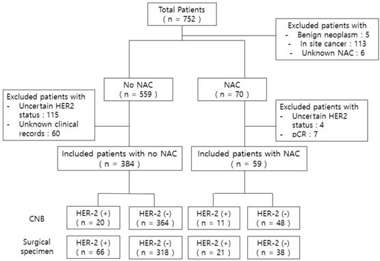 J Cancer Image