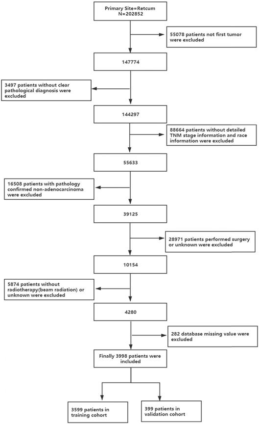 J Cancer Image