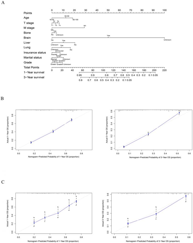 J Cancer Image