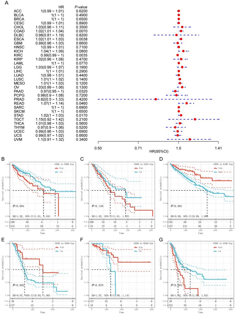 J Cancer Image