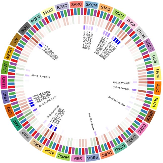 J Cancer Image