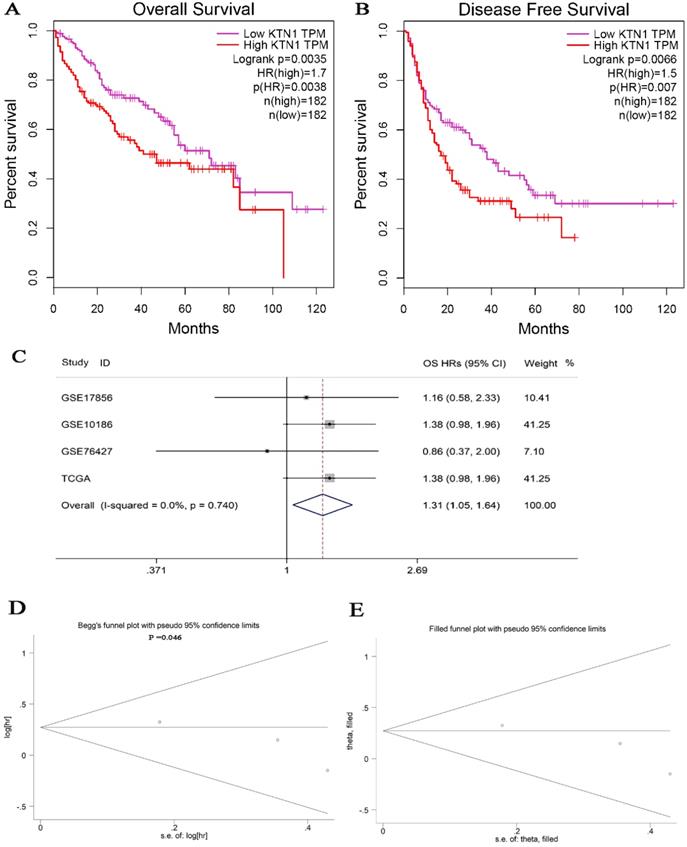 J Cancer Image