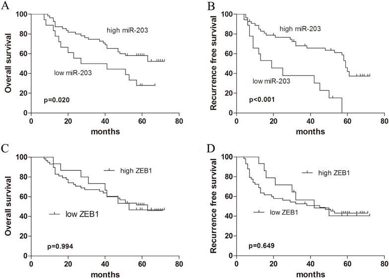 J Cancer Image