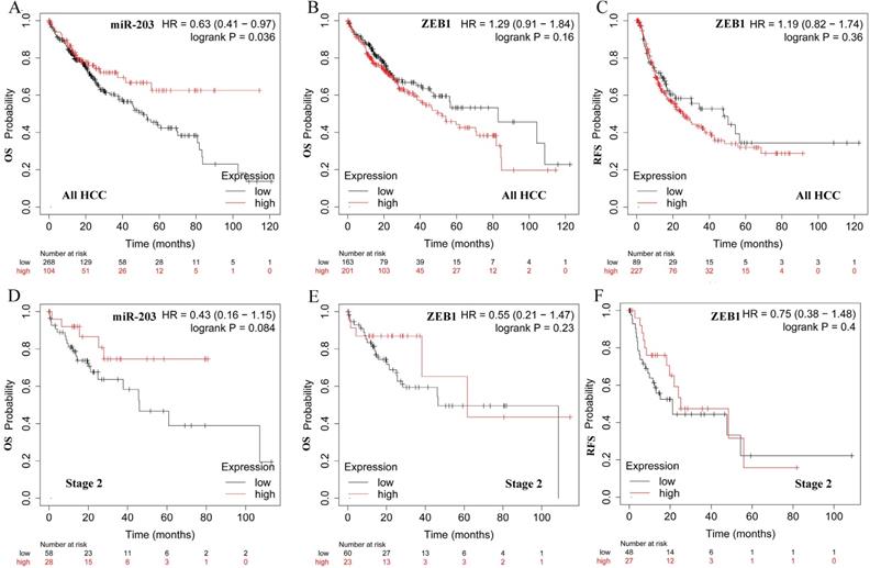 J Cancer Image