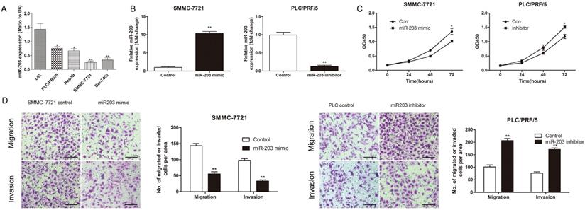 J Cancer Image