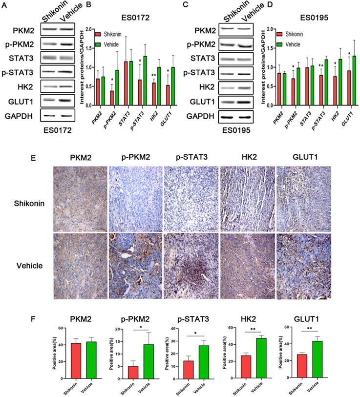 J Cancer Image