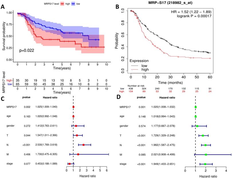 J Cancer Image