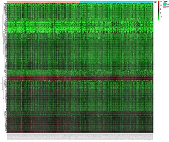 J Cancer Image