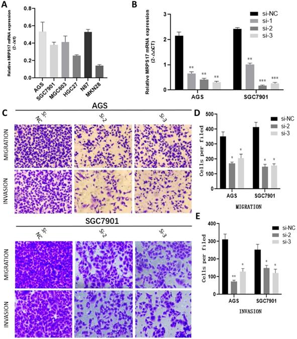 J Cancer Image