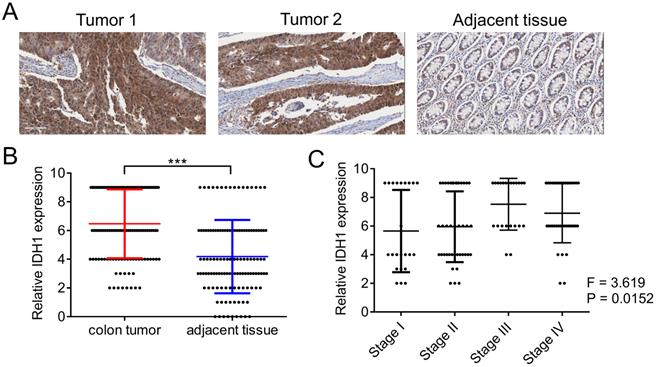 J Cancer Image