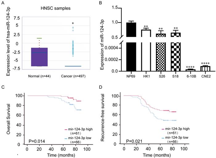 J Cancer Image