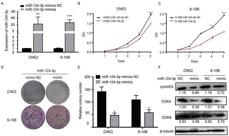 J Cancer Image