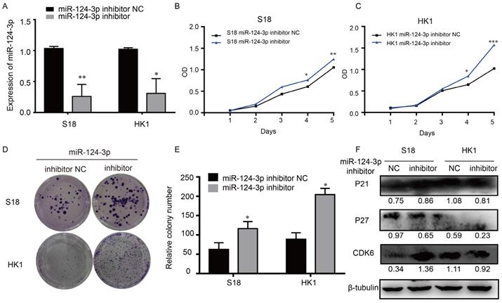 J Cancer Image