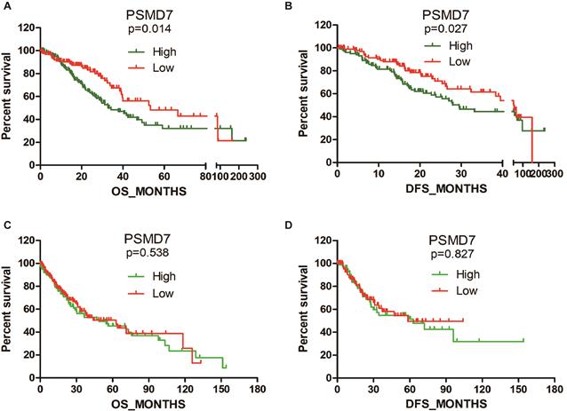 J Cancer Image