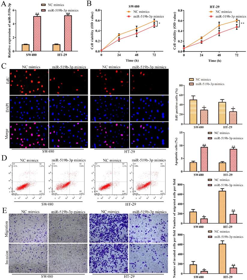 J Cancer Image