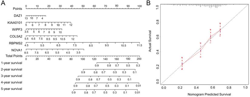 J Cancer Image