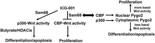 J Cancer Image