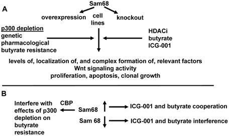 J Cancer Image