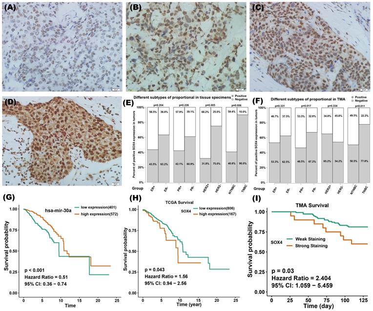 J Cancer Image