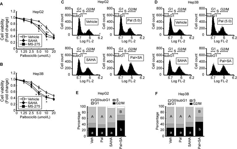 J Cancer Image