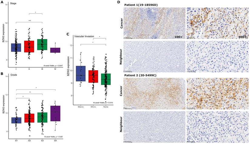 J Cancer Image