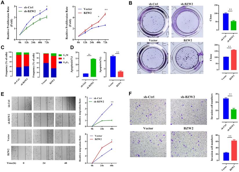 J Cancer Image