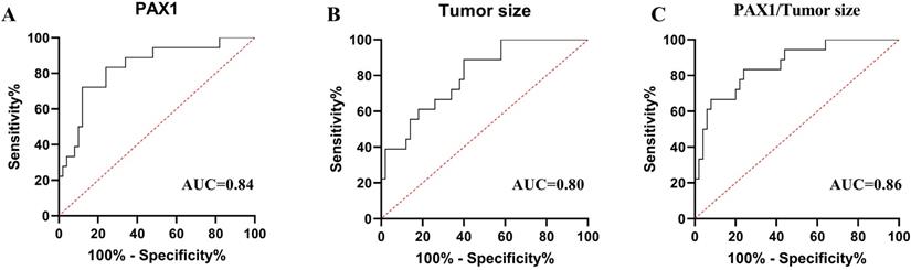 J Cancer Image