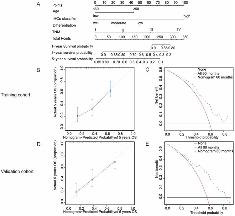 J Cancer Image