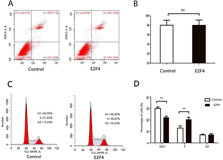 J Cancer Image