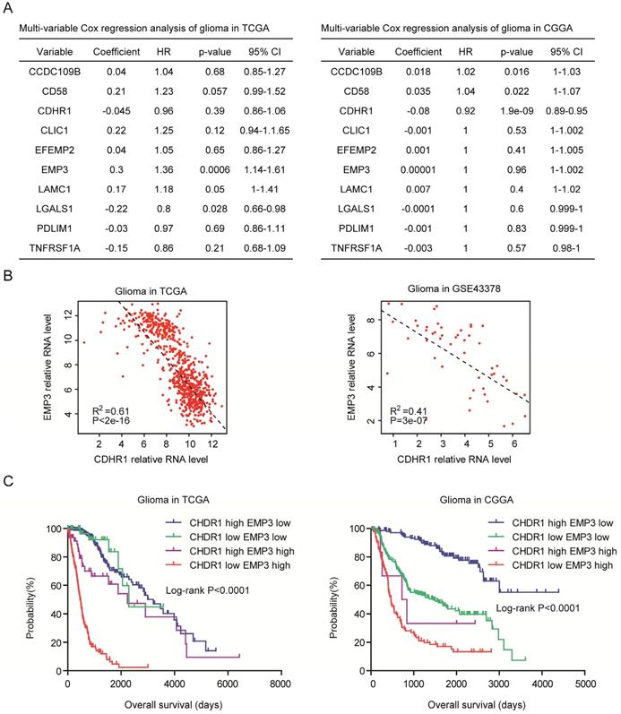 J Cancer Image