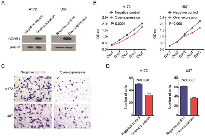 J Cancer Image