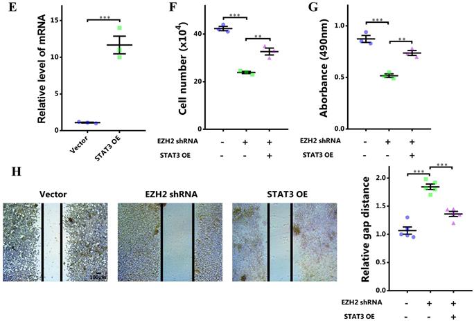 J Cancer Image