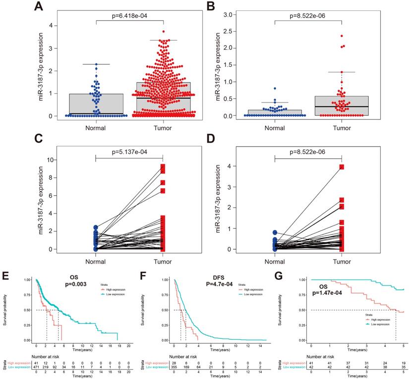 J Cancer Image