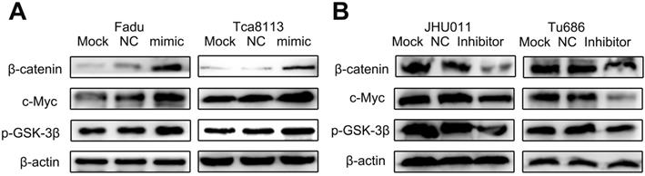 J Cancer Image