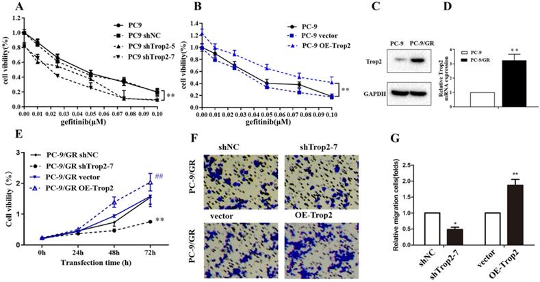 J Cancer Image