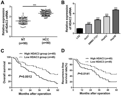 J Cancer Image