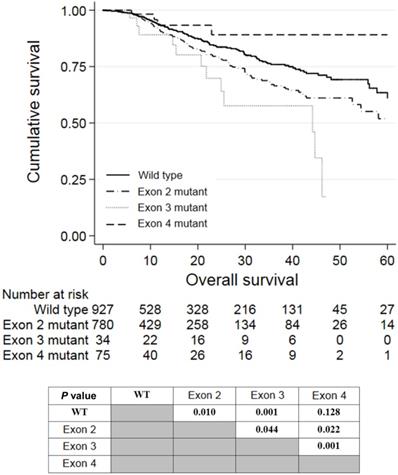 J Cancer Image