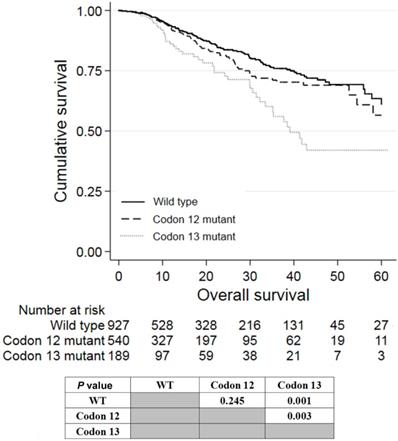 J Cancer Image