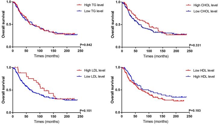 J Cancer Image