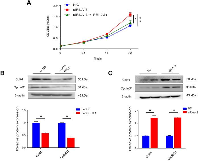 J Cancer Image