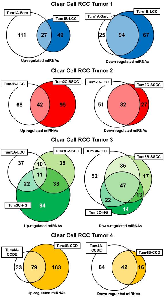 J Cancer Image