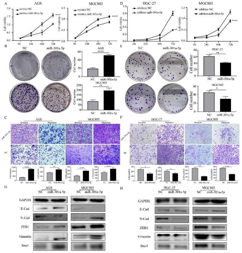 J Cancer Image