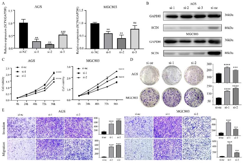 J Cancer Image