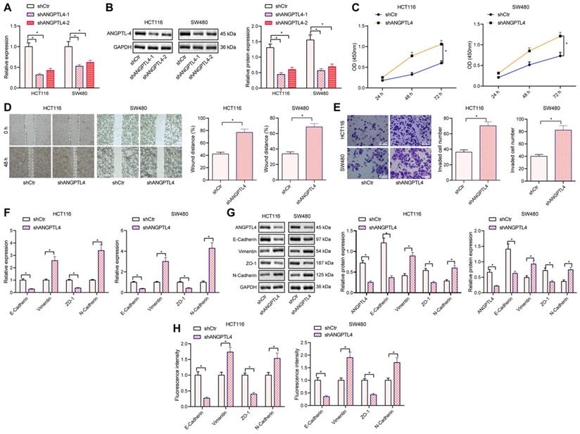 J Cancer Image