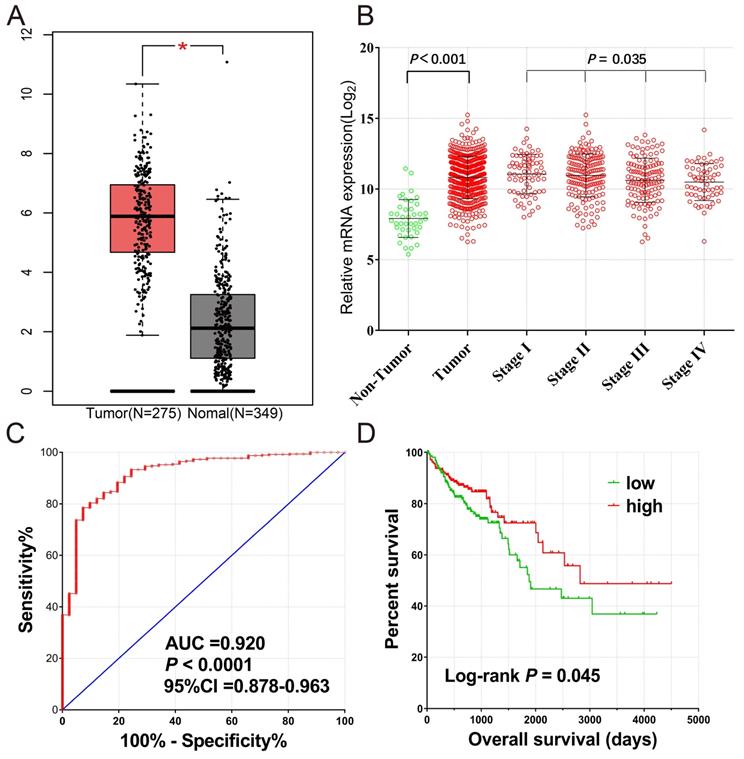 J Cancer Image