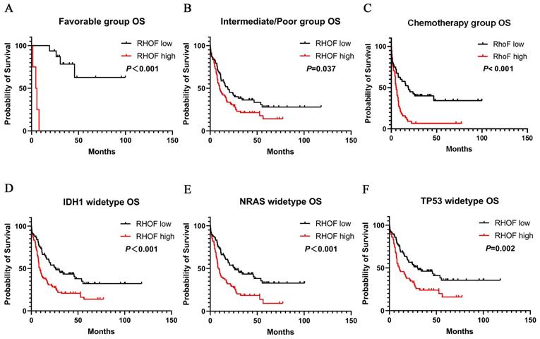 J Cancer Image