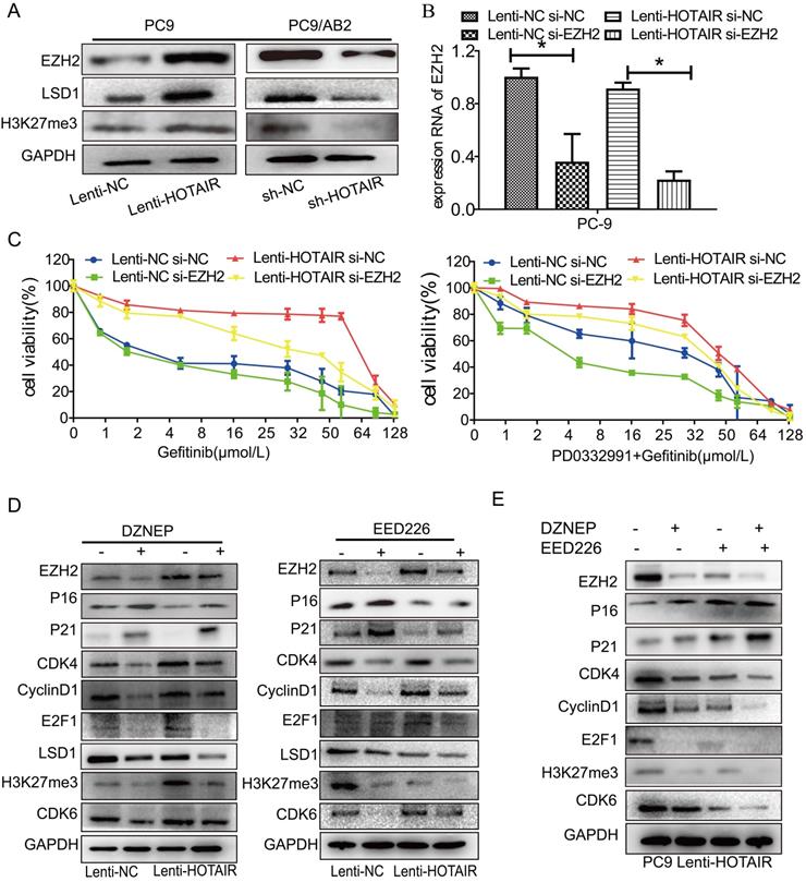 J Cancer Image